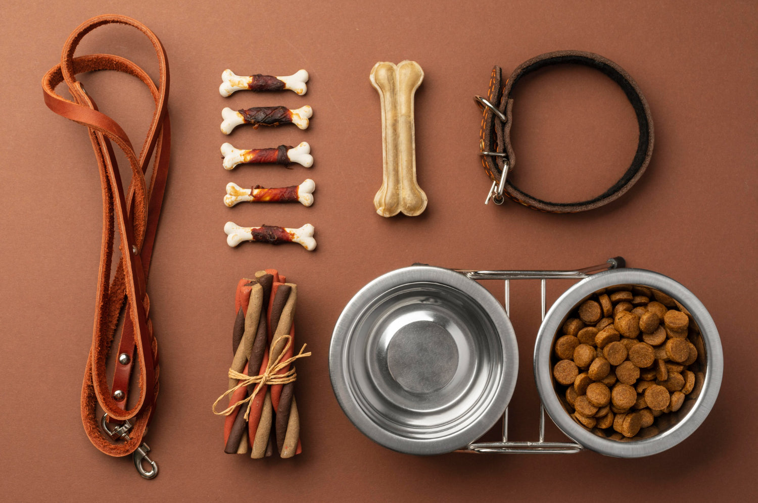 The Best Training Tools for Pets and How to Use Them Effectively