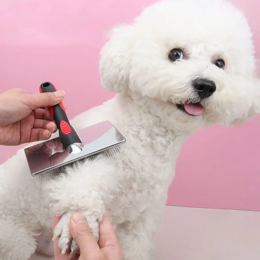 Fur Cleaning Brush