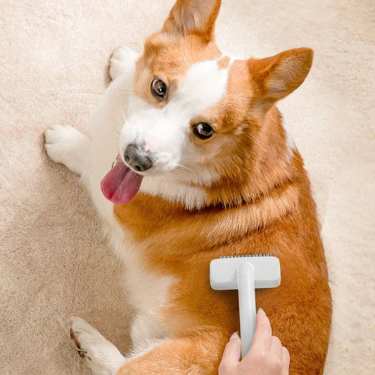 Grooming Tool