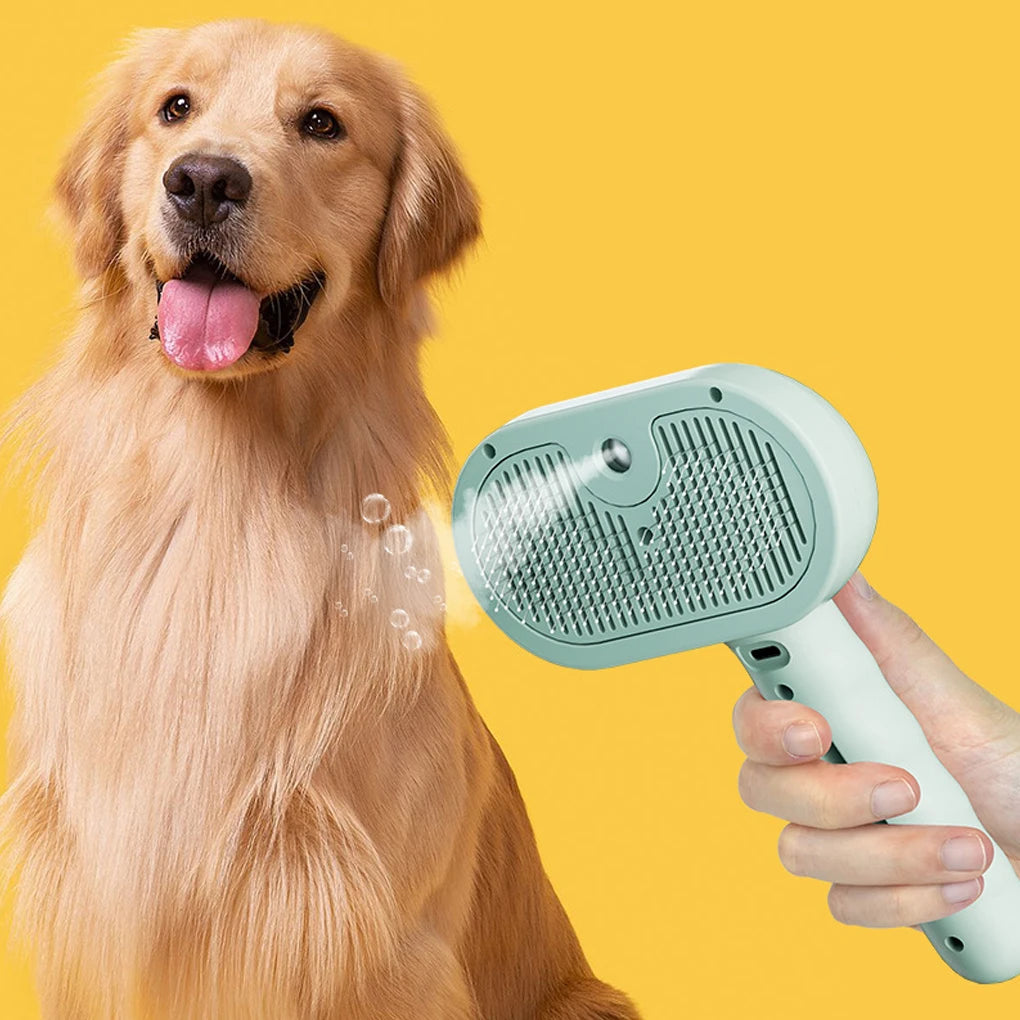 Steam Brush
