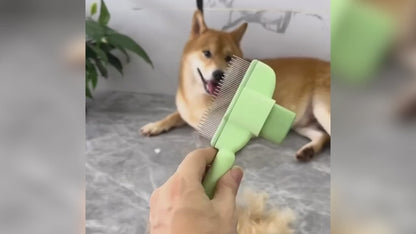 Pet Hair Remover